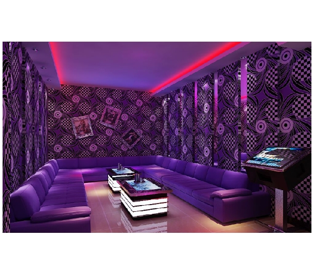 我國(guó)專(zhuān)業(yè)音響的發(fā)展前景